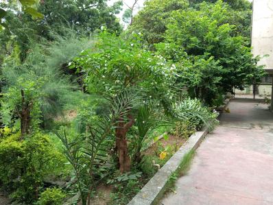 Image of 880 Sq.ft Residential Plot / Land for sale in Thaltej, Ahmedabad for Rs. 88000000