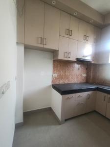 Kitchen Image of 1377 Sq.ft 3 BHK Builder Floor for rent in Aditya White Cottage, Bamheta Village Ghaziabad for Rs. 15000