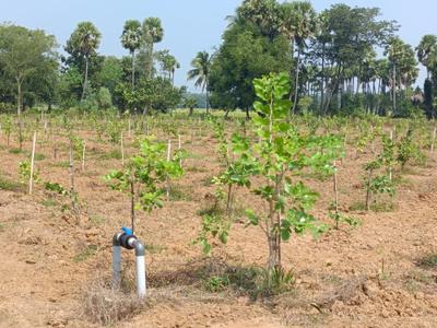 Image of 200 Sq.ft Residential Plot / Land for sale in Kothavalasa, Visakhapatnam for Rs. 1200000