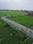 Adarsh Kashi Plot View 2