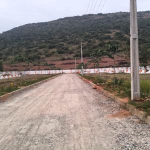 Thagarapuvalasa Plot View 1