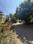 Frontline estate Main Image 1