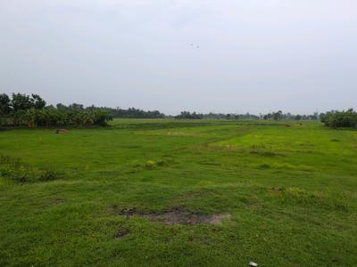 Sonarpur plot project kolkata golden city 2 Plot View 2