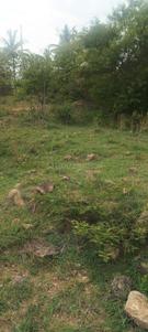 Image of 1550 Sq.ft Residential Plot / Land for sale in Sankeshwar Sunshine City, Thavarekere, Bengaluru for Rs. 4800000
