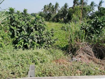 Image of 2500 Sq.ft Residential Plot / Land for sale in Brajalalchak, Haldia for Rs. 31000000