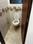 Unispace Motilal Mansion Bathroom 1