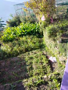 Balcony Image of 3000 Sq.ft 7 BHK Independent House for sale in Dugalkhola Almora for Rs. 7500000