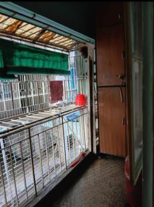 Balcony Image of 855 Sq.ft 2 BHK Apartment / Flat for sale in Shriji Panchvati Complex, Kaikhali Kolkata for Rs. 4800000