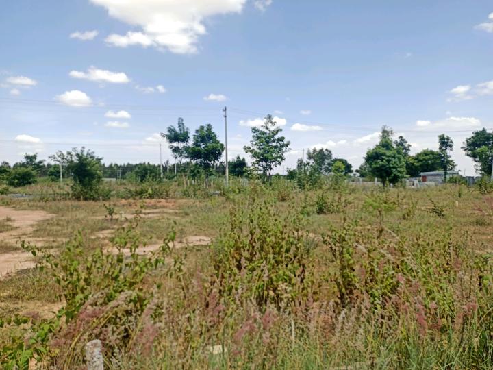 Boyalahalli Main Image 1