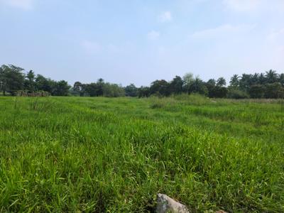 Image of 1440 Sq.ft Residential Plot / Land for sale in Nest Valley, Joka, Kolkata for Rs. 307777