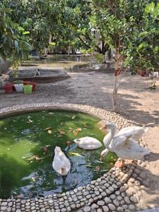 Image of 100 Sq.ft Residential Plot / Land for sale in Ganeshpur, Dehradun for Rs. 890000