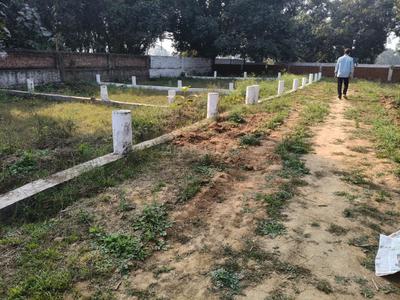 Bihta Plot View 2