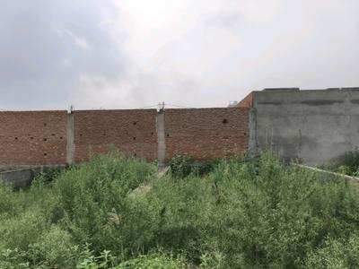 Chhapraula Plot View 2