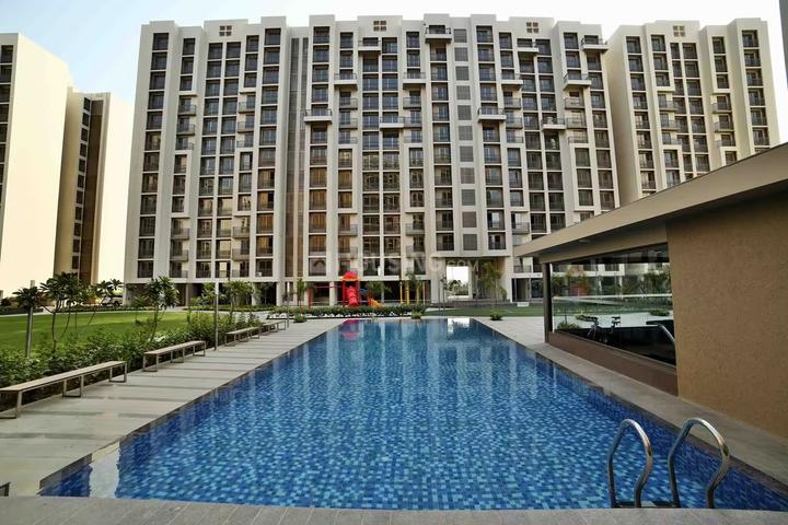 Orchid Elegance Main Image 1