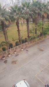 Image of 2600 Sq.ft 3 BHK Builder Floor for sale in SS Almeria, Sector 84, Gurgaon for Rs. 19000000