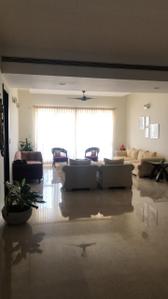 Hall Image of 4100 Sq.ft 4 BHK Apartment / Flat for rent in Prestige White Meadows, Whitefield Bengaluru for Rs. 300000