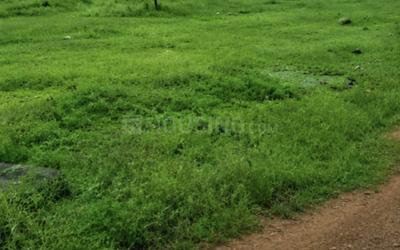 Sundarpada Plot View 2