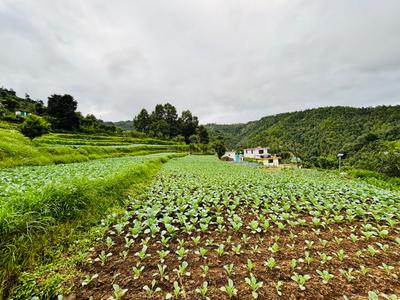 Image of 2400 Sq.ft Residential Plot / Land for sale in Mukteshwar, Nainital for Rs. 15000000