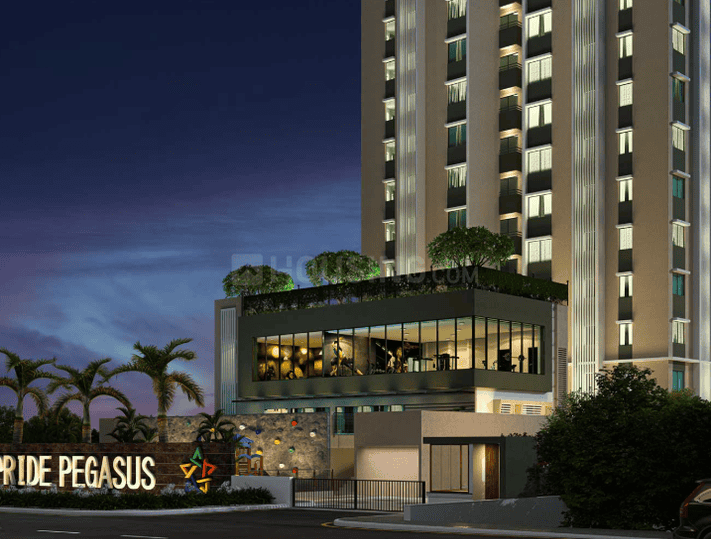 Pride Pegasus Main Image 1