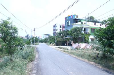 Plot View