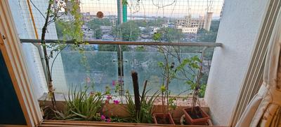 Balcony Image of 2250 Sq.ft 3 BHK Apartment / Flat for sale in Dosti Flamingos, Sewri Mumbai for Rs. 57500000