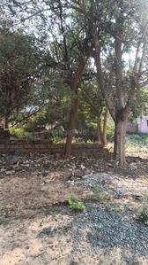 Image of 3484 Sq.ft Residential Plot / Land for sale in Similipada, Angul for Rs. 9800000