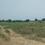 Bihta anandpur Main Image 1