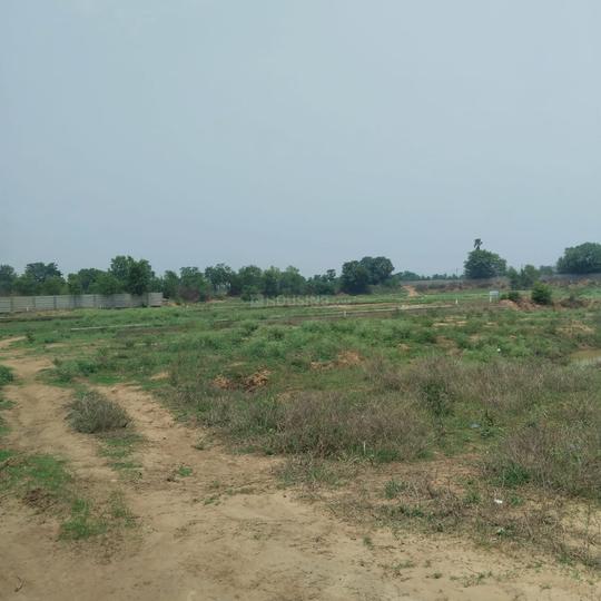 Bihta anandpur Main Image 1