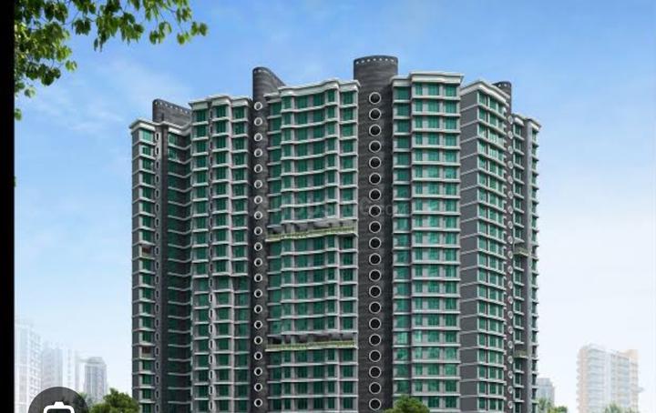 DP Star Main Image 1