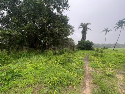 Residential Plot