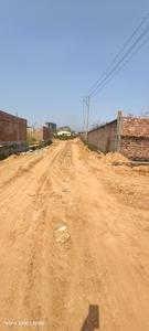 Betkuchi Plot View 3