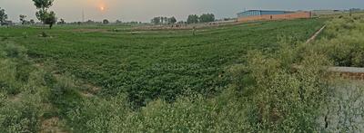 Khurja Plot View 1