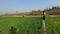 Vikasnagar Main Image 1