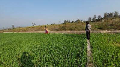 Vikasnagar Plot View 1