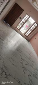 Hall Image of 1500 Sq.ft 2 BHK Independent House for rent in Kamta Lucknow for Rs. 17000