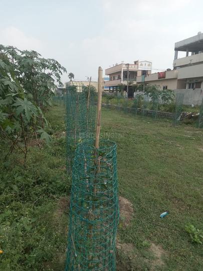 royal rajputana co Main Image 1