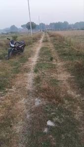Dafi Plot View 2