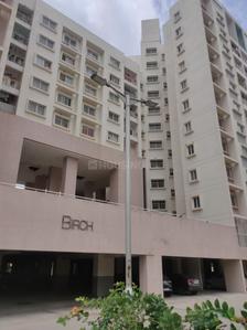 3 BHK Flat