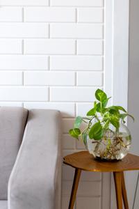 Hall Image of 980 Sq.ft 2 BHK Apartment / Flat for sale in Raichandani Botanica, Candolim Goa for Rs. 18000000