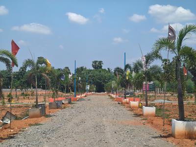 SS VALLEY Plot View 2