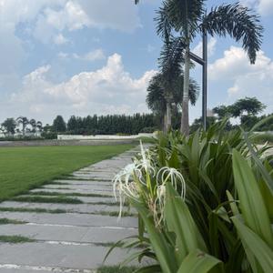 Image of 800 Sq.ft Residential Plot / Land for sale in Kunj Vihar I, Sanwer, Indore for Rs. 3200000