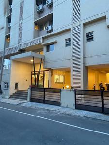 Image of LIV IN OUT IVORY COLIVE in Whitefield, Bengaluru