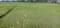 Sonarpur Plot View 2