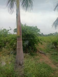 Image of 242 Sq.ft Residential Plot / Land for sale in Shamirpet, Hyderabad for Rs. 2310000