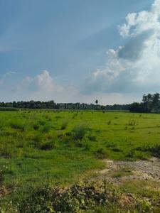 Image of 43560 Sq.ft Residential Plot / Land for sale in Ashapur Village, Ayodhya for Rs. 70000000