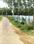 Gosainganj Plot View 2