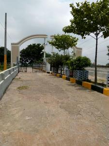 Behta Plot View 3