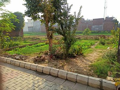 Image of 2242 Sq.ft Residential Plot / Land for sale in Batala, Gurdaspur for Rs. 1500000