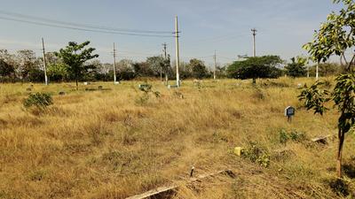 K.Hemmanahalli Plot View 2