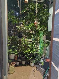 Balcony Image of 540 Sq.ft 1 BHK Independent House for sale in Vanasthalipuram Hyderabad for Rs. 9300000
